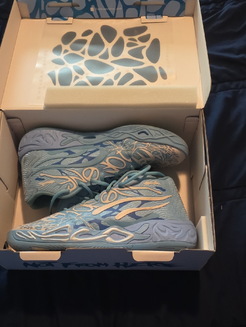 Lamelo Basketball Shoes